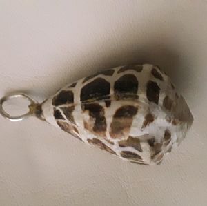 Cone shell Pendant